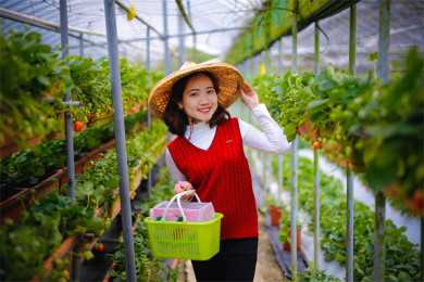 小户型装修家具（简易家具）